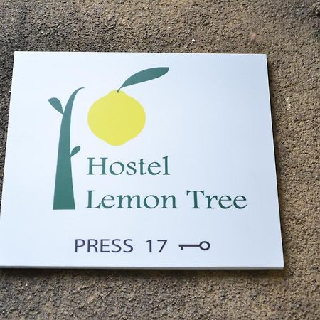 Lemon Tree Hostel Краков Экстерьер фото